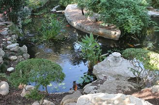 Backyard Pond DIY (15)