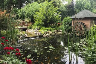 Backyard Pond DIY (20)