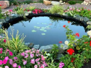 Backyard Pond DIY (26)