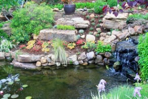 Backyard Pond DIY (5)