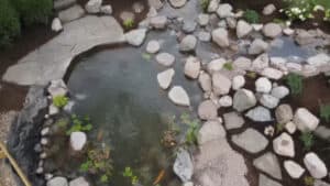 Backyard Pond Do_it_yourself (9)