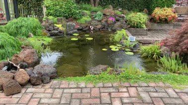 Backyard Pond Ideas (11)