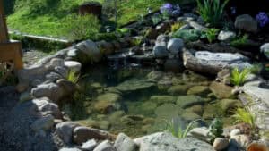 Backyard Pond Ideas (6)