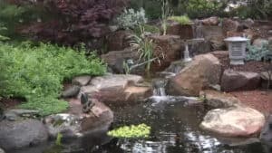 Backyard Pond With Waterfall DIY (24)