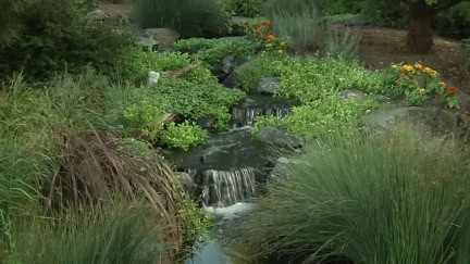 Backyard Pond With Waterfall DIY (26)