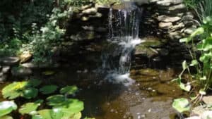 Backyard Pond with Waterfall (1)