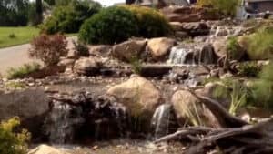 Backyard Pond with Waterfall (2)