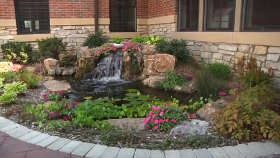 Backyard Pond with Waterfall (8)