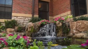 Backyard Pond with Waterfall (9)