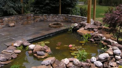 Backyard Pond DIY (1)