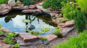 Backyard Pond DIY (14)