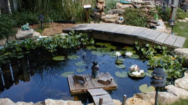 Backyard Pond DIY (17)