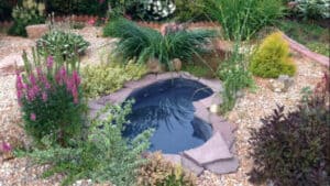 Backyard Pond DIY (21)