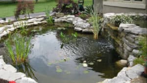 Backyard Pond DIY (22)