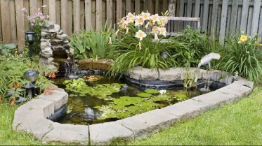 Backyard Pond DIY (23)