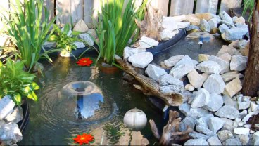 Backyard Pond DIY (24)