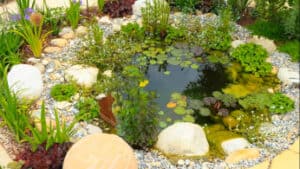 Backyard Pond DIY (25)