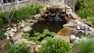 Backyard Pond DIY (29)