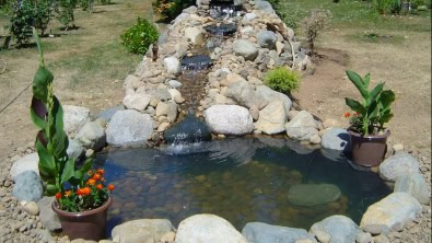 Backyard Pond DIY (3)