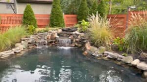 Backyard Pond DIY (37)