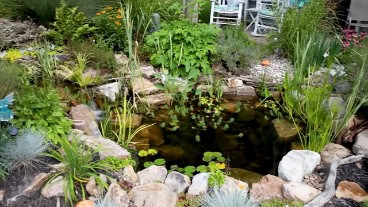 Backyard Pond DIY (44)