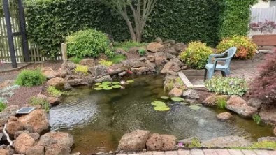 Backyard Pond DIY (49)