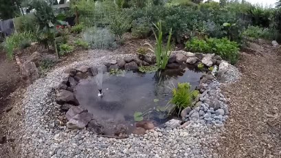 Backyard Pond DIY (50)