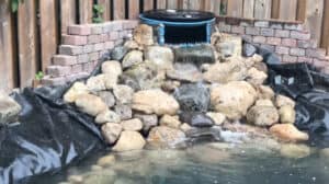 Backyard Pond DIY (58)