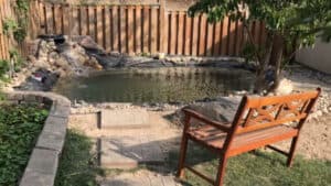 Backyard Pond DIY (59)