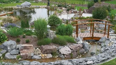 Backyard Pond DIY (6)