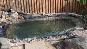 Backyard Pond DIY (60)