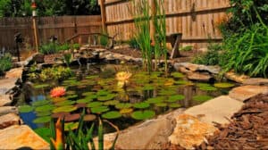 Bacyard Pond DIY (62)