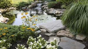 Backyard Pond DIY (69)