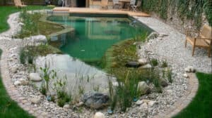 Backyard Pond DIY (71)