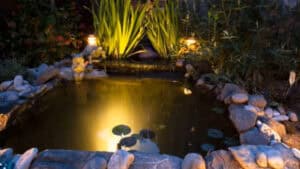 Backyard Pond DIY (78)