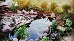 Backyard Pond DIY (82)