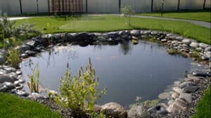 Bacyard Pond DIY (85)