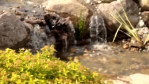 Pondless Waterfall (63)