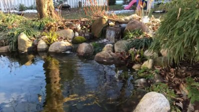 backyard pond with waterfall (31)