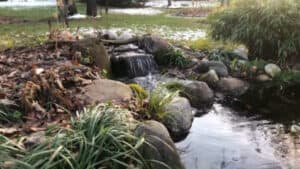 backyard pond with waterfall (35)